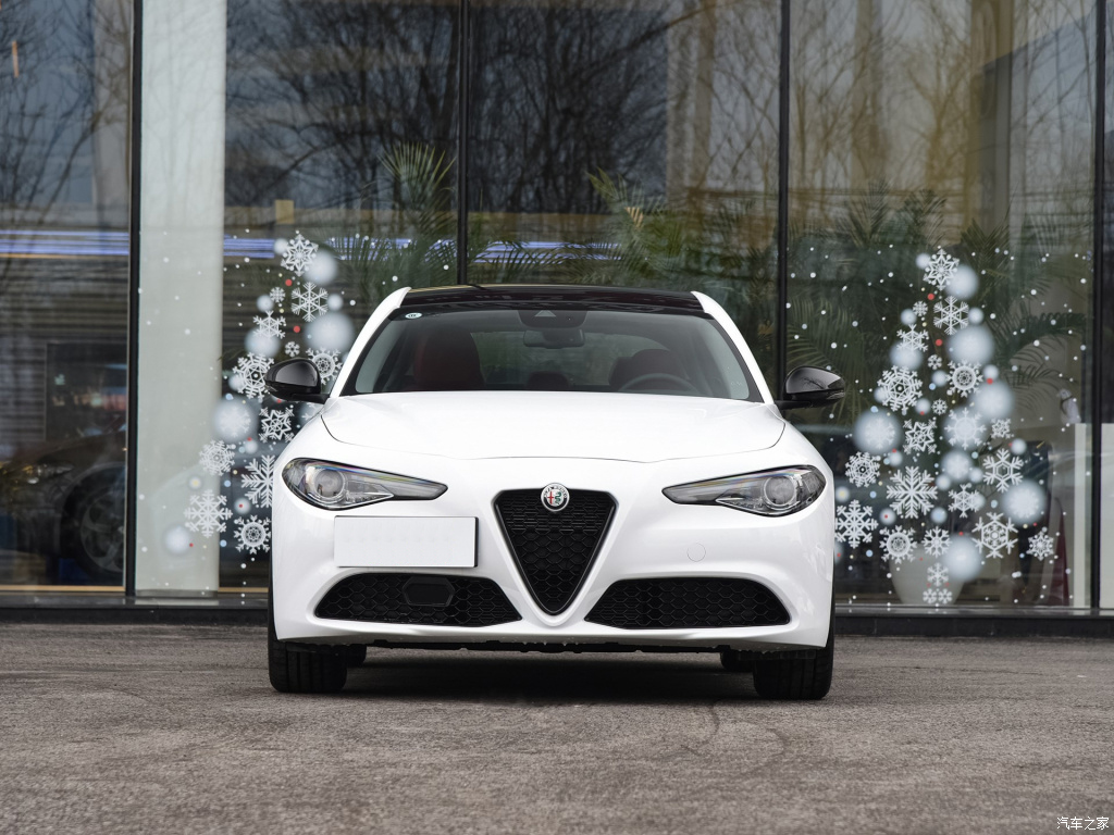 Giulia 202